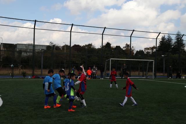 库里7中0施罗德首秀12中2 勇士遭灰熊51分血洗